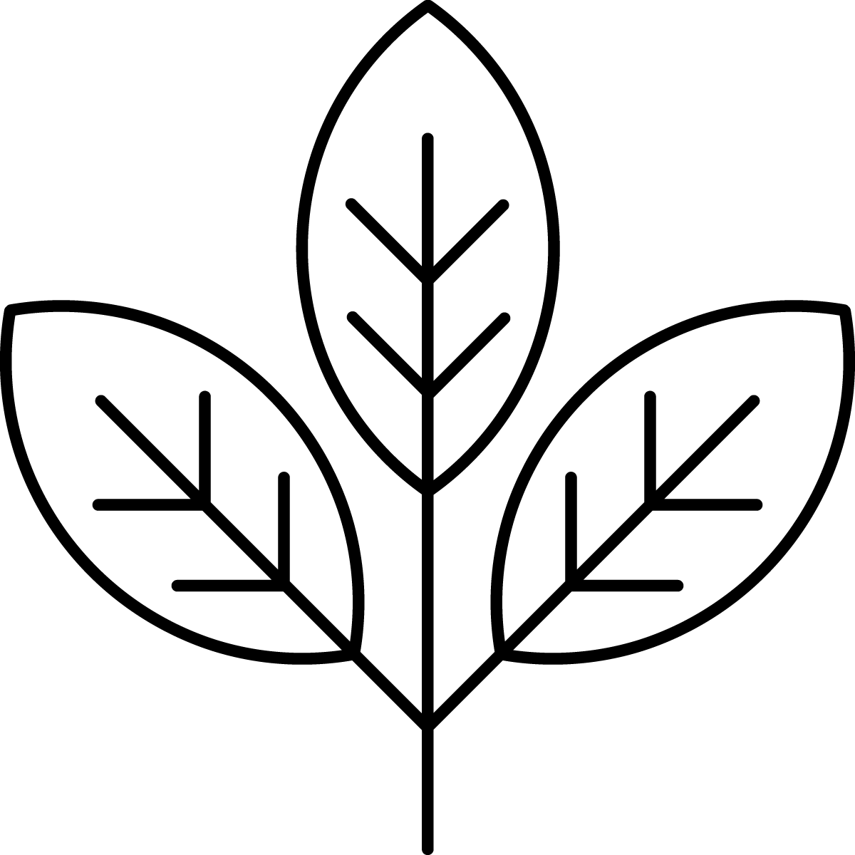Icon showing that the Jason Markk Quick Wipe is 100% plant-based.