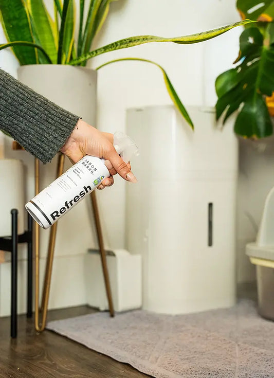 Person using Refresh Spray in a room with plants and furniture.