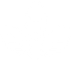 100% Plant-Based Wipe Material Icon in white