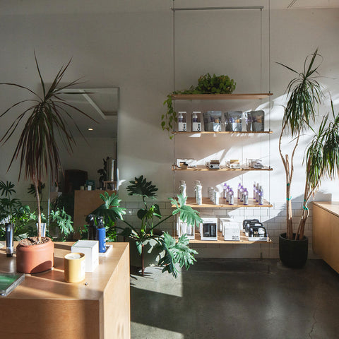 Jason Markk Little Tokyo Flagship Interior - Mobile